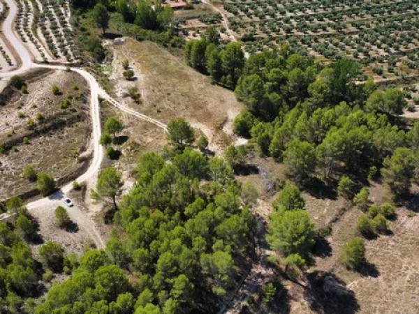 Terreno en via Sense Nom, km 3.841