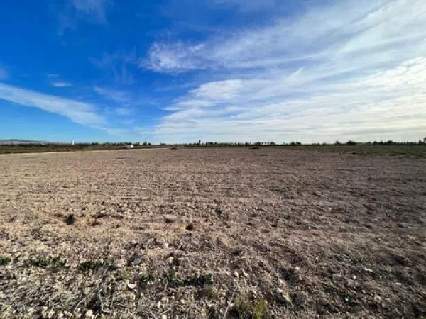 Terreno en Crevillente