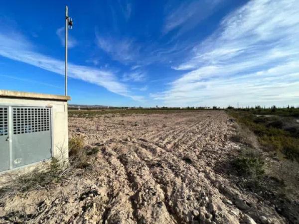 Terreno en Crevillente
