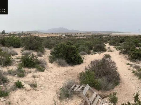Terreno en La Huerta