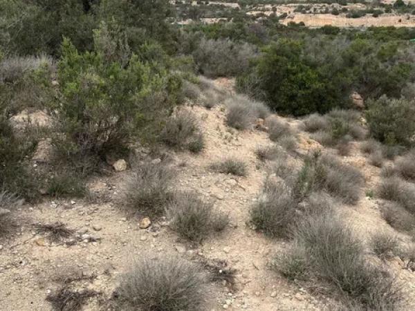 Terreno en La Huerta