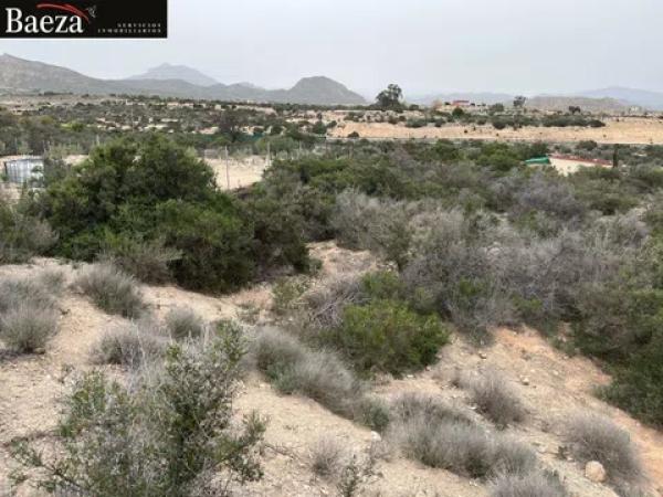Terreno en La Huerta