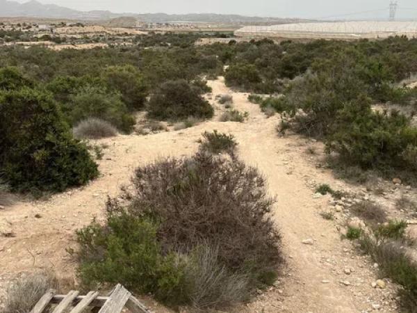 Terreno en La Huerta