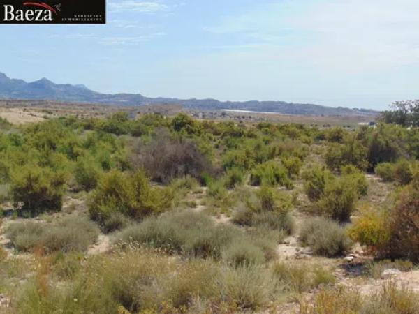 Terreno en La Huerta