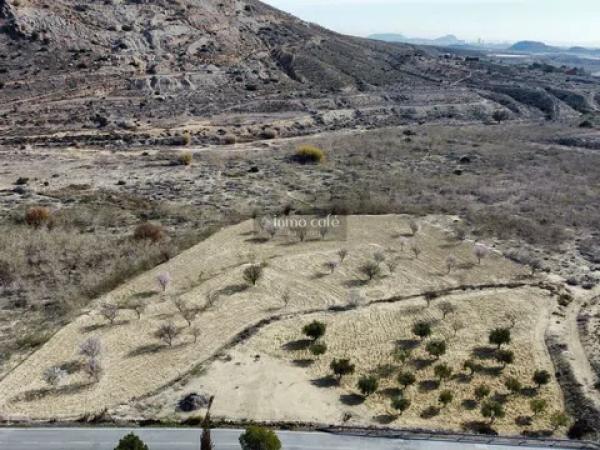 Terreno en partida Fontcalent
