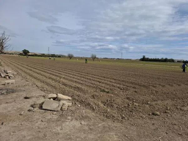 Terreno en Partoda Almarjal
