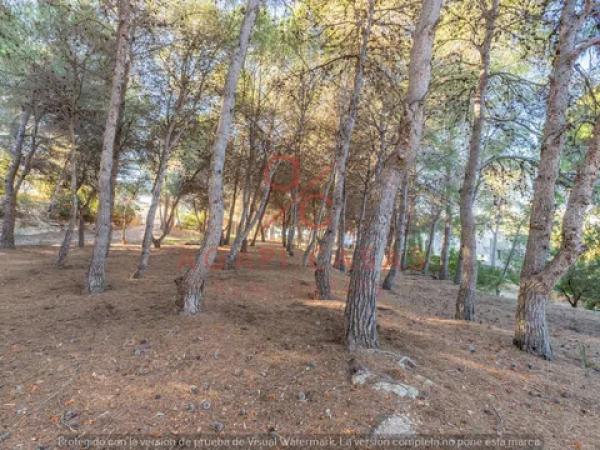 Terreno en El Portet-Pla del Mar