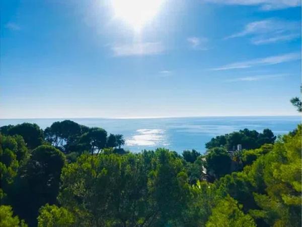 Terreno en calle Chambele