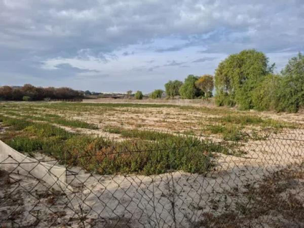 Terreno en Partida la Capitana