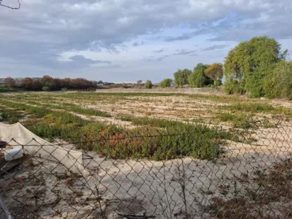 Terreno en Partida la Capitana