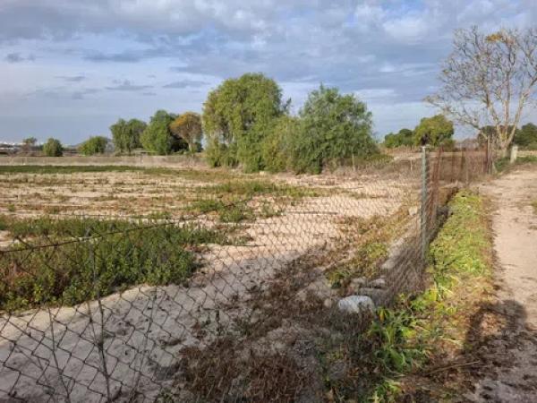 Terreno en Partida la Capitana