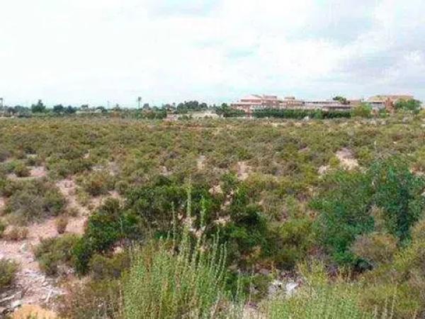 Terreno en calle el Frare, 15