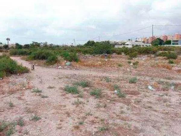 Terreno en calle el Frare, 15