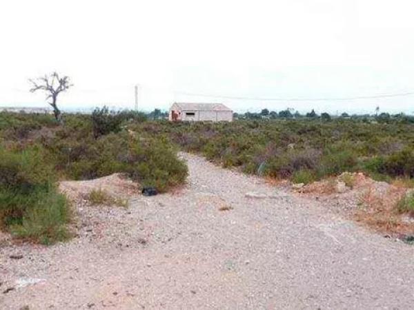 Terreno en calle el Frare, 15