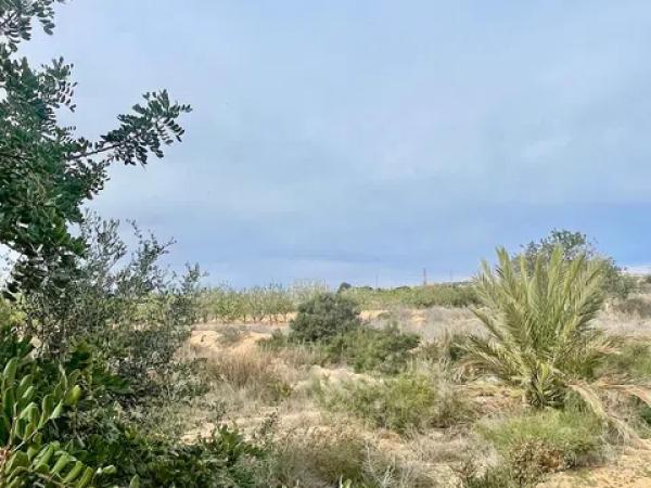 Terreno en Partida Altabix, 3030 b