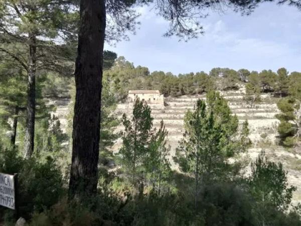 Terreno en Castalla