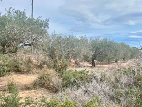 Terreno en Partida Altabix, 3030 b