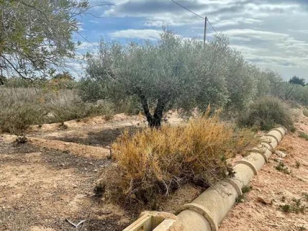 Terreno en Partida Altabix, 3030 b