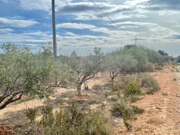 Terreno en Partida Altabix, 3030 b