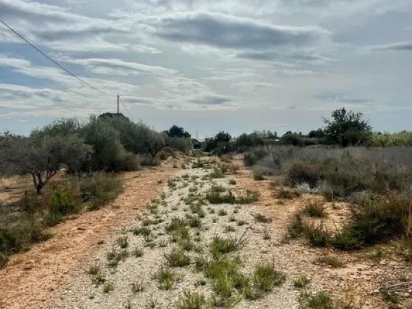 Terreno en Partida Altabix, 3030 b