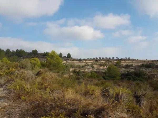 Terreno en Teulada