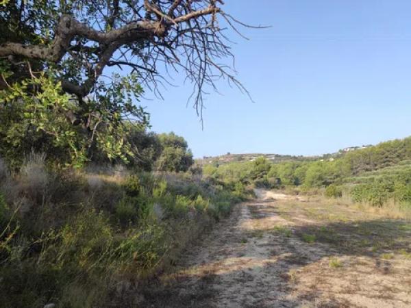 Terreno en Teulada