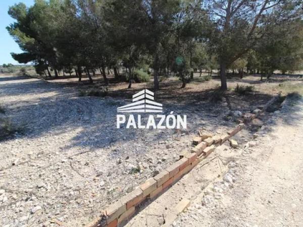 Terreno en Crevillente