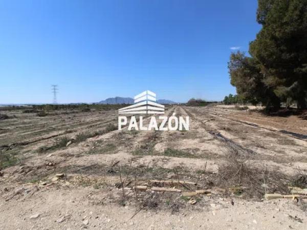 Terreno en Crevillente