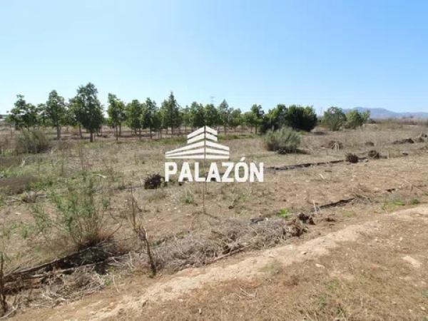 Terreno en Crevillente