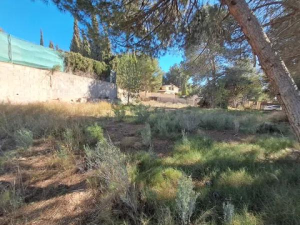 Terreno en seccion g s/n