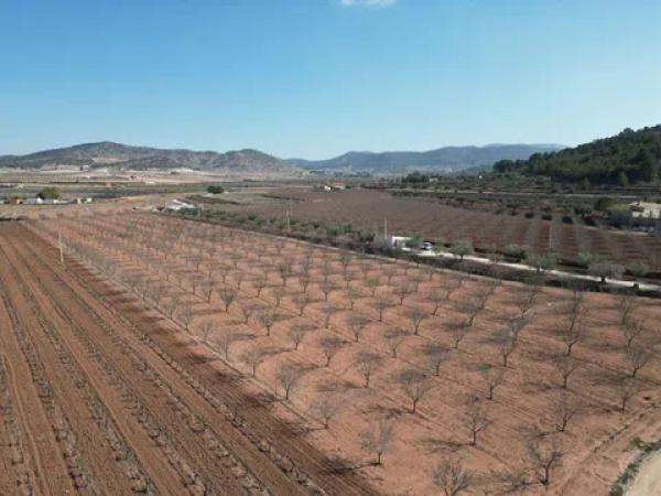 Terreno en camino del Churri, 52