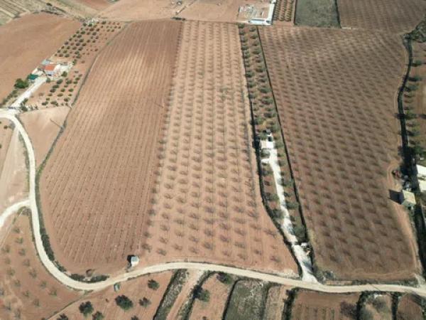 Terreno en camino del Churri, 52