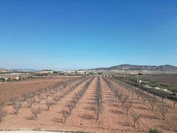 Terreno en camino del Churri, 52