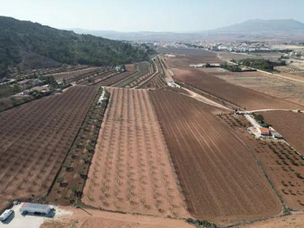 Terreno en camino del Churri, 52