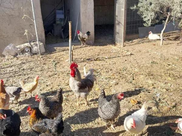 Terreno en Valle del Sol - Rio Park