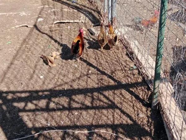 Terreno en Valle del Sol - Rio Park