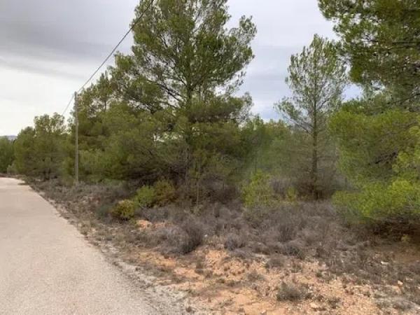 Terreno en Partida Foietes