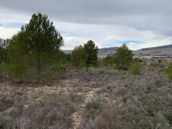 Terreno en Partida Foietes