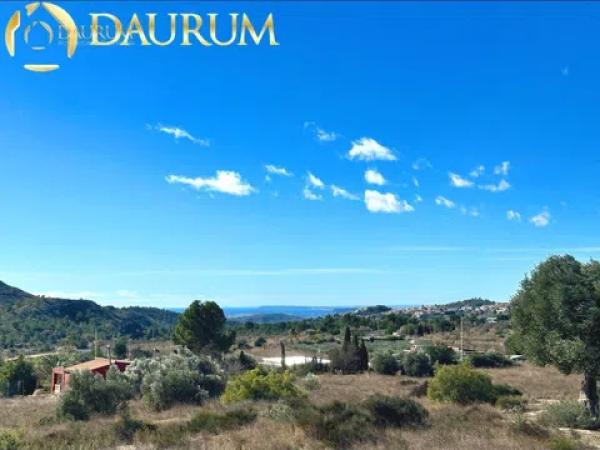 Terreno en calle de la Font