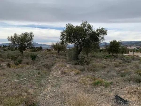 Terreno en Partida Foietes