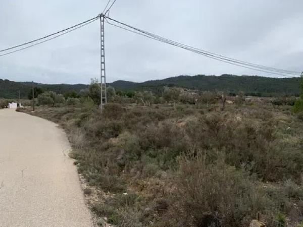 Terreno en Partida Foietes