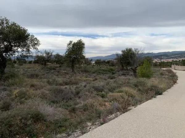 Terreno en Partida Foietes