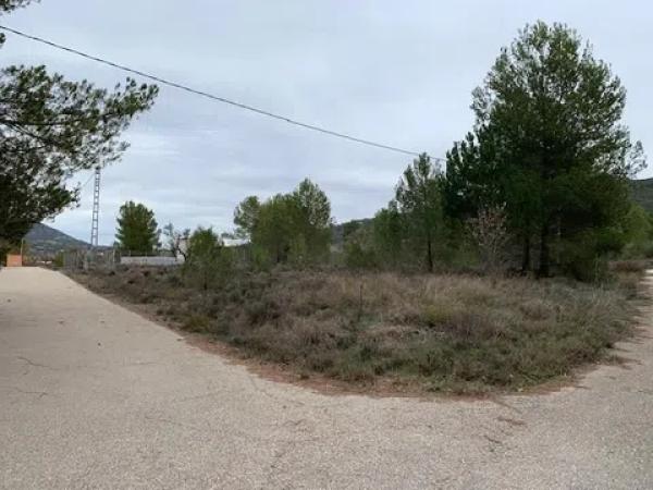 Terreno en Partida Foietes