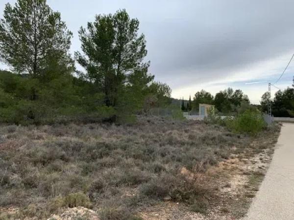 Terreno en Partida Foietes