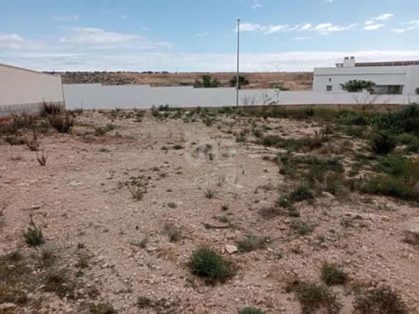 Terreno en calle Coloso de Rodas, 59 -73