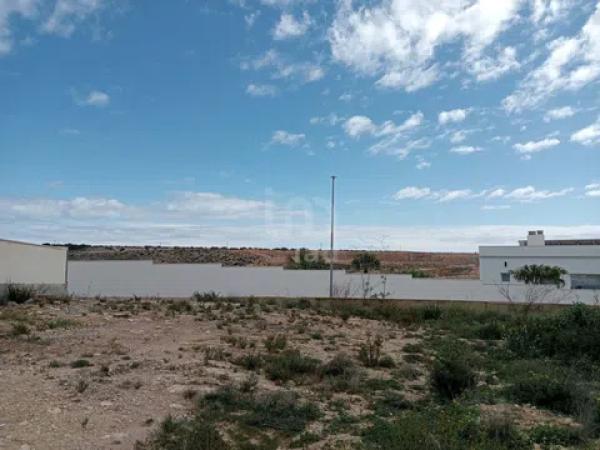 Terreno en calle Coloso de Rodas, 59 -73