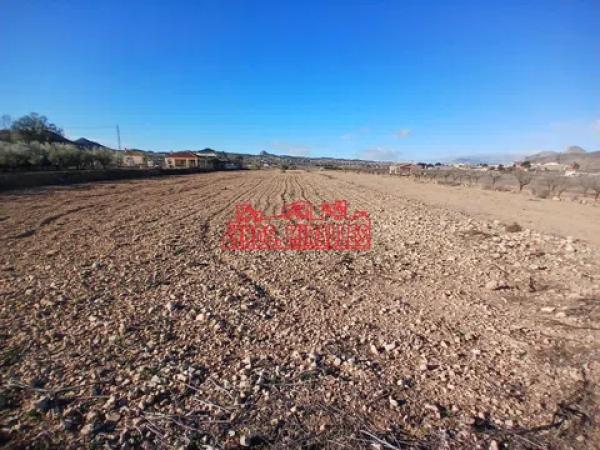 Terreno en Hondón de los Frailes