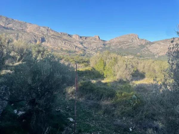 Terreno en Beniarda, 965885598