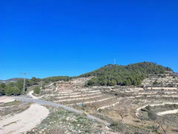 Terreno en Partida Alcoies, 52