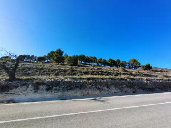 Terreno en Partida Alcoies, 52